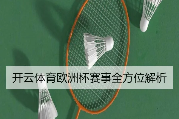 开云体育欧洲杯赛事全方位解析